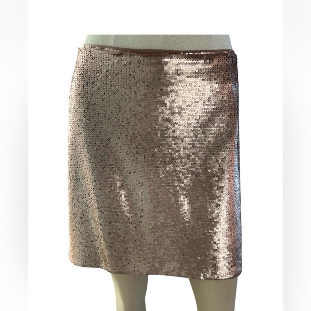Banana Republic Women’s Rose Gold Sequin Silver Skirt Sz 12 NWT - Picture 2 of 6